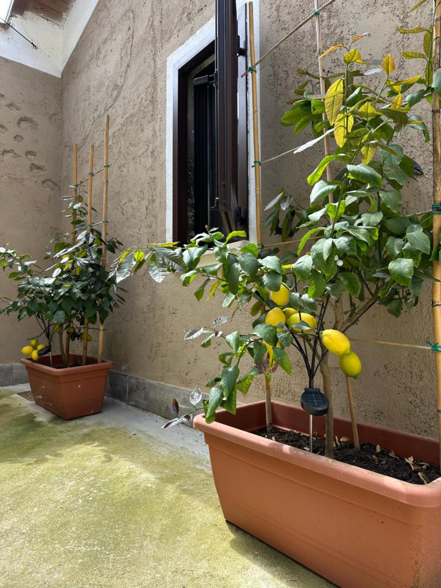 B&B La Corte プエニャーゴ エクステリア 写真